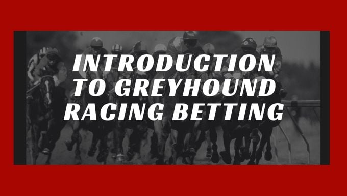Introduction to Greyhound Racing Betting