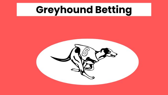 Greyhound Betting Guide